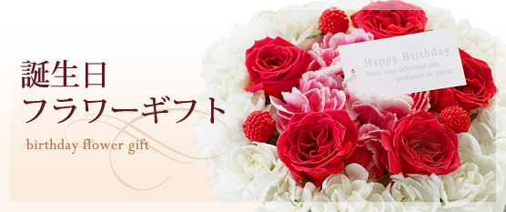 �a�����t�����[�M�t�g