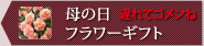 ��̓��t�����[�M�t�g