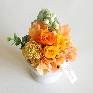 別の角度から見た様子です。