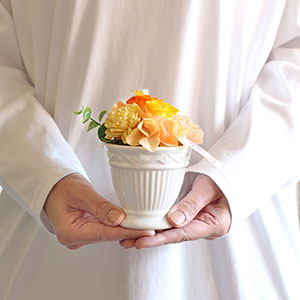 大人の女性が持った大きさイメージです。