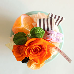 上からの様子です。