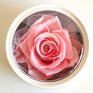 別の角度から見た様子です。