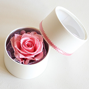 フタを開けた状態です。