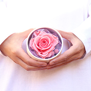 大人の女性が持った大きさイメージです。