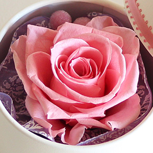 プリザーブドフラワーのバラの花びらを1枚づつ丁寧に重ね合わせて大輪に仕立てています