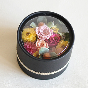 セット内容AドームBOX黒〜ミニバラ〜