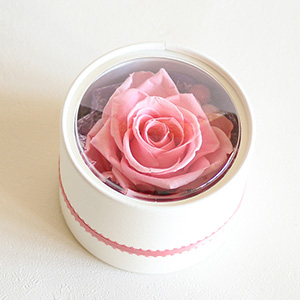 セット内容BドームBOX白〜バラメリア〜