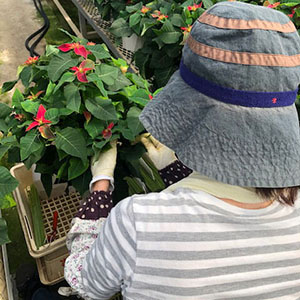 10月に訪園した際には、丁寧に1本1本大事に支柱を手作業で付けられていました。