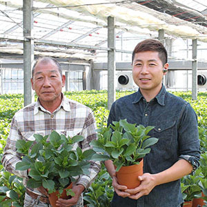 生産者の塩原さん親子です。春はアジサイ、冬はポインセチアと日々植物に真摯に向き合い、親子で切磋琢磨しながら栽培をしています。