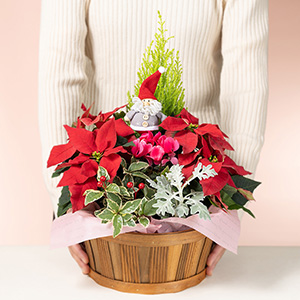 大人の女性が持ったイメージです。