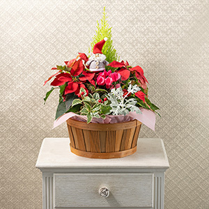 お部屋に飾ったイメージです。