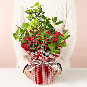 大人の女性が持ったイメージです。