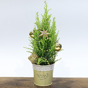 お手持ちのオーナメントを飾り付ければうんとクリスマスらしさがアップします!