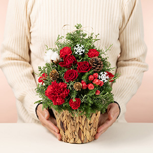 大人の女性が持った場合の大きさのイメージです。