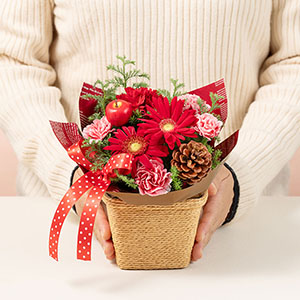 大人の女性が持った場合の大きさのイメージです。