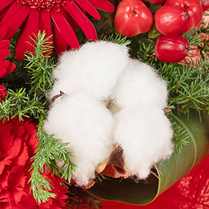 天然のコットンフラワー(綿花)を使用しています。