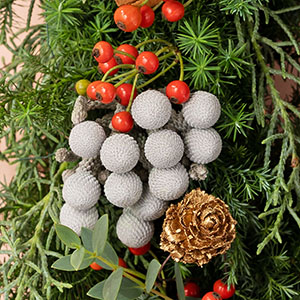 シルバーブルニアはクリスマスシーズンのネイティブフラワーです。