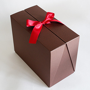 お届け状態です。