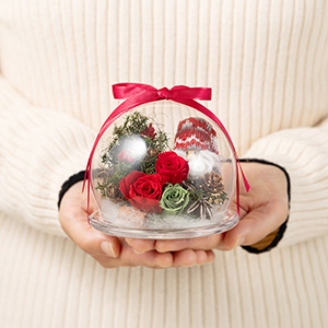 大人の女性が持った大きさイメージです。