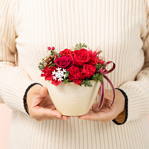 大人の女性が持った大きさイメージです。