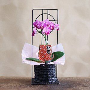 正面から見たイメージです。