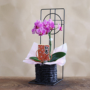 角度違いのイメージです。