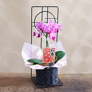 角度違いのイメージです。