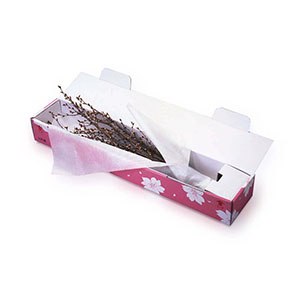 開花準備のできたつぼみの状態で出荷されますので、実際の開花はお客様のお手元でということになります。枝の根元に十字に切り込みをいれ水揚げをします。開花を早めたいときは暖かい場所に、逆に遅くしたいときには寒い場所に置いて調節してください。