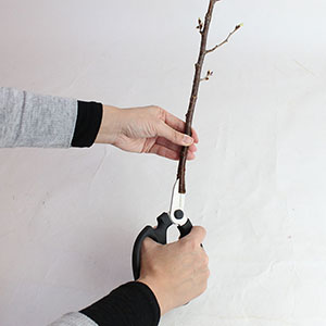 お届け後は、十字切りをして水揚げをしてください。