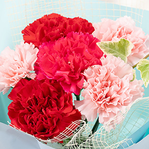 ブルーは、定番の赤・ピンクのカーネーションでまとめました。