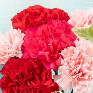 赤・ピンクのカーネーションでまとめました。