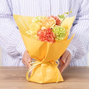 大人の女性が持った場合の大きさイメージです。