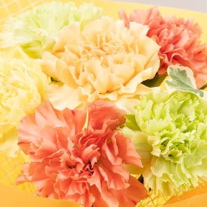 ビタミンカラーのカーネーションでまとめました。