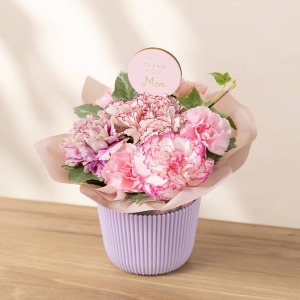 別の角度から見たイメージです。