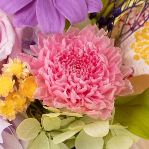 ピンクの小菊、上品な和花です。