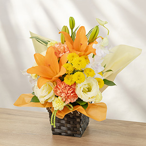 別の角度から見たイメージです。