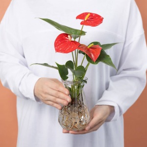 大人の女性が持った大きさイメージです。