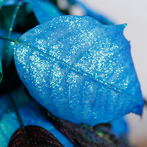 葉の表面にはラメが施されています。