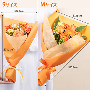 SサイズとMサイズの比較イメージです。