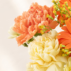 フリルたっぷりのカーネーション。