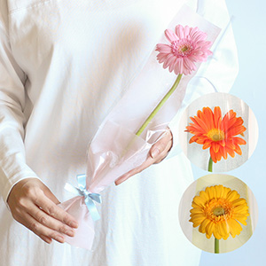 �ԑ��u�����I�ׂ�K�[�x��1�փu�[�P�v