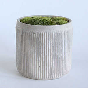 洒落たセメント鉢に植え込んで、足元は苔をあしらいました。