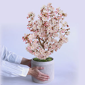 大人の女性が持ったイメージです。