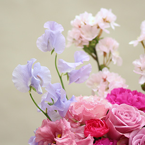 薄紫色のスイートピーはふわっと甘い香りがします。