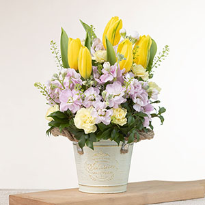 別の角度から見たイメージです。