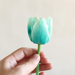 1本1本丁寧に染め上げた、水色が美しい特別なチューリップです。