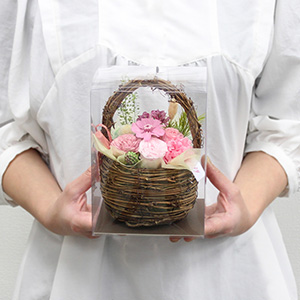 大人の女性が持った大きさイメージです。