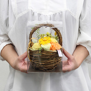 大人の女性が持った大きさイメージです。