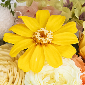 「幸福」の花言葉を持つジニアは、心のこもったギフトにぴったりのお花です。