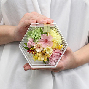 大人の女性が持った大きさイメージです。